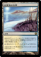 Lightly Played / Japanese / Normal