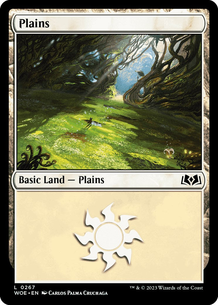 Plains (0267)