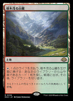 Near Mint / Japanese / Normal