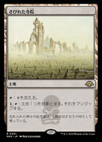 Near Mint / Japanese / Normal