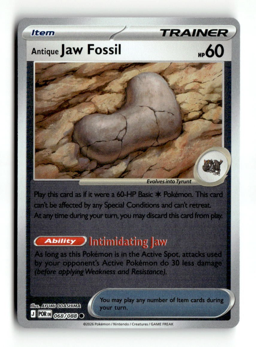 Antique Jaw Fossil