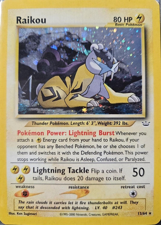 Raikou (13)