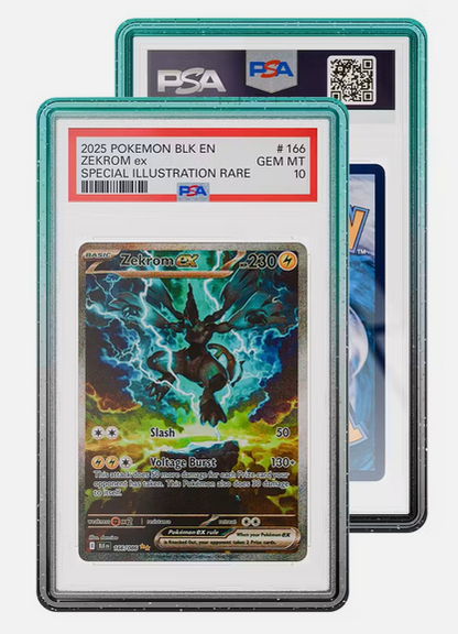 Graded Guard Limited Edition Drops (PSA) - Neptune.